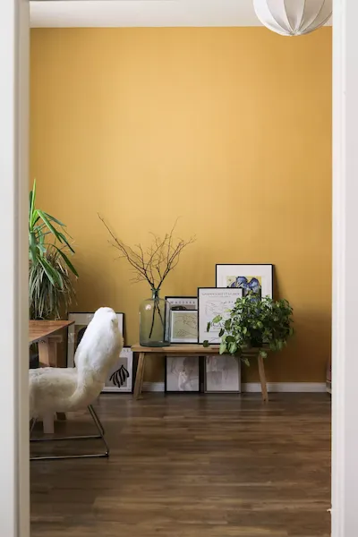 interior painters near me