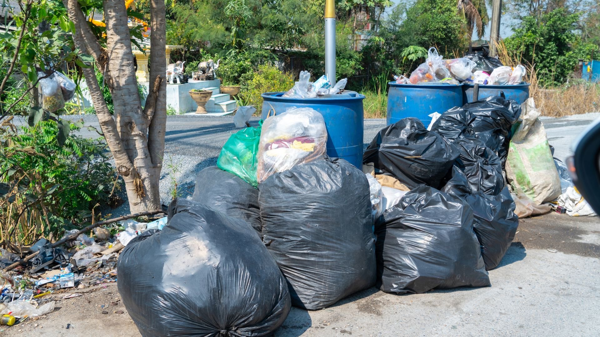 Gallery image 3 — best junk removal in Dallas