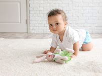 Gallery image 3 — upholstery cleaning Kennesaw