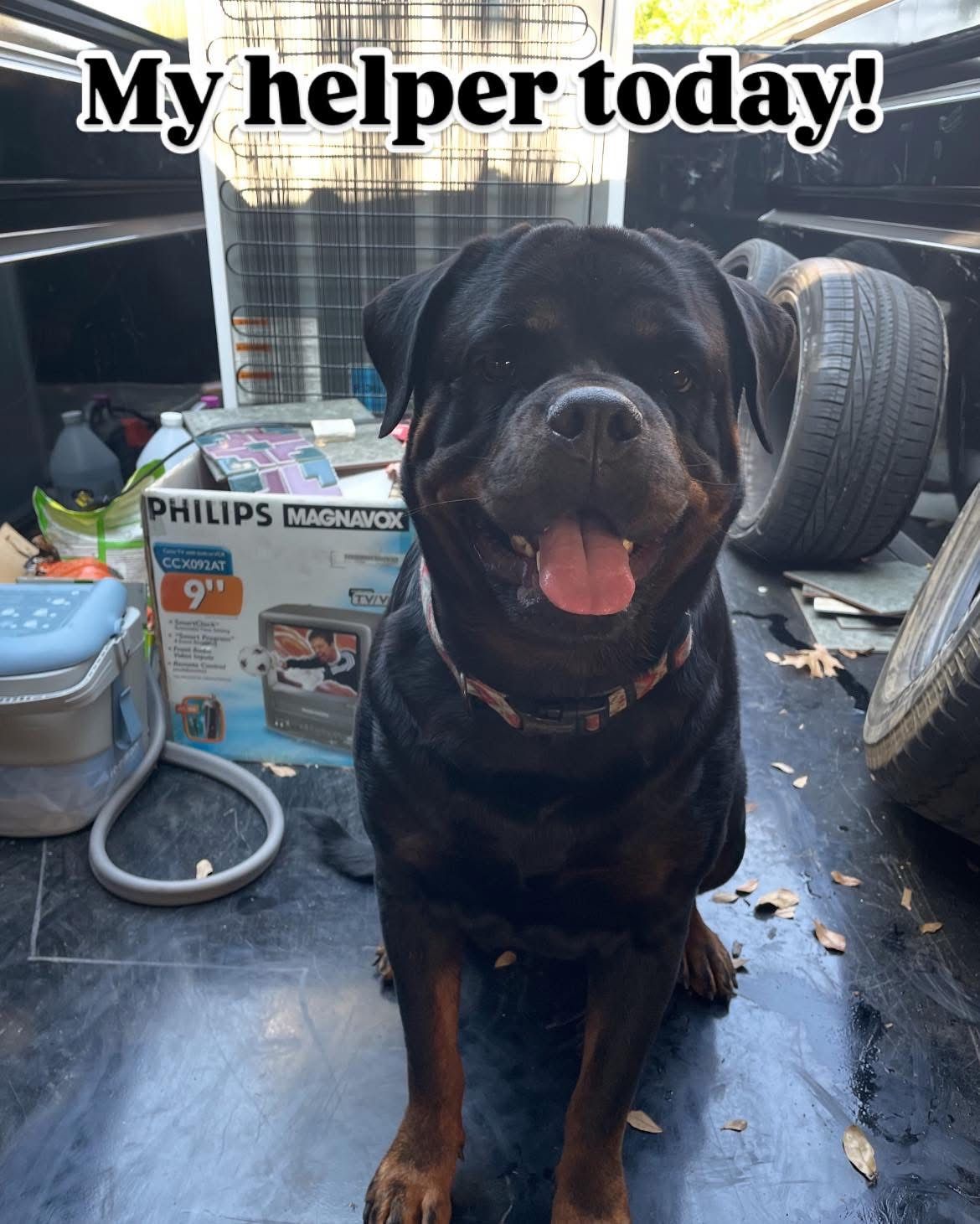 Gallery image 2 — junk removal in Denton
