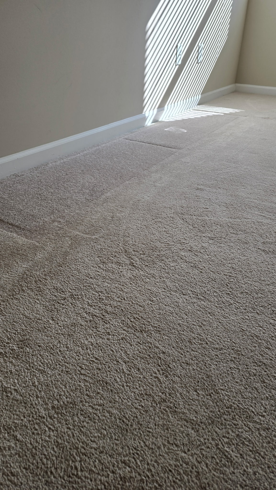 Gallery image 3 — dry in one hour carpet cleaning Roswell