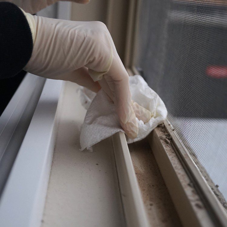 Gallery image 8 — move in cleaning Houston