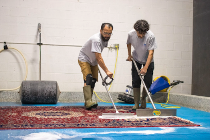 pet urine removal rugs Metro Atlanta
