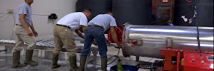 Gallery image 1 — eco-friendly rug cleaner Roswell