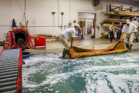 Gallery image 2 — eco-friendly rug cleaner Roswell