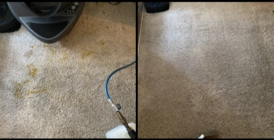 Gallery image 13 — residential carpet cleaning near me