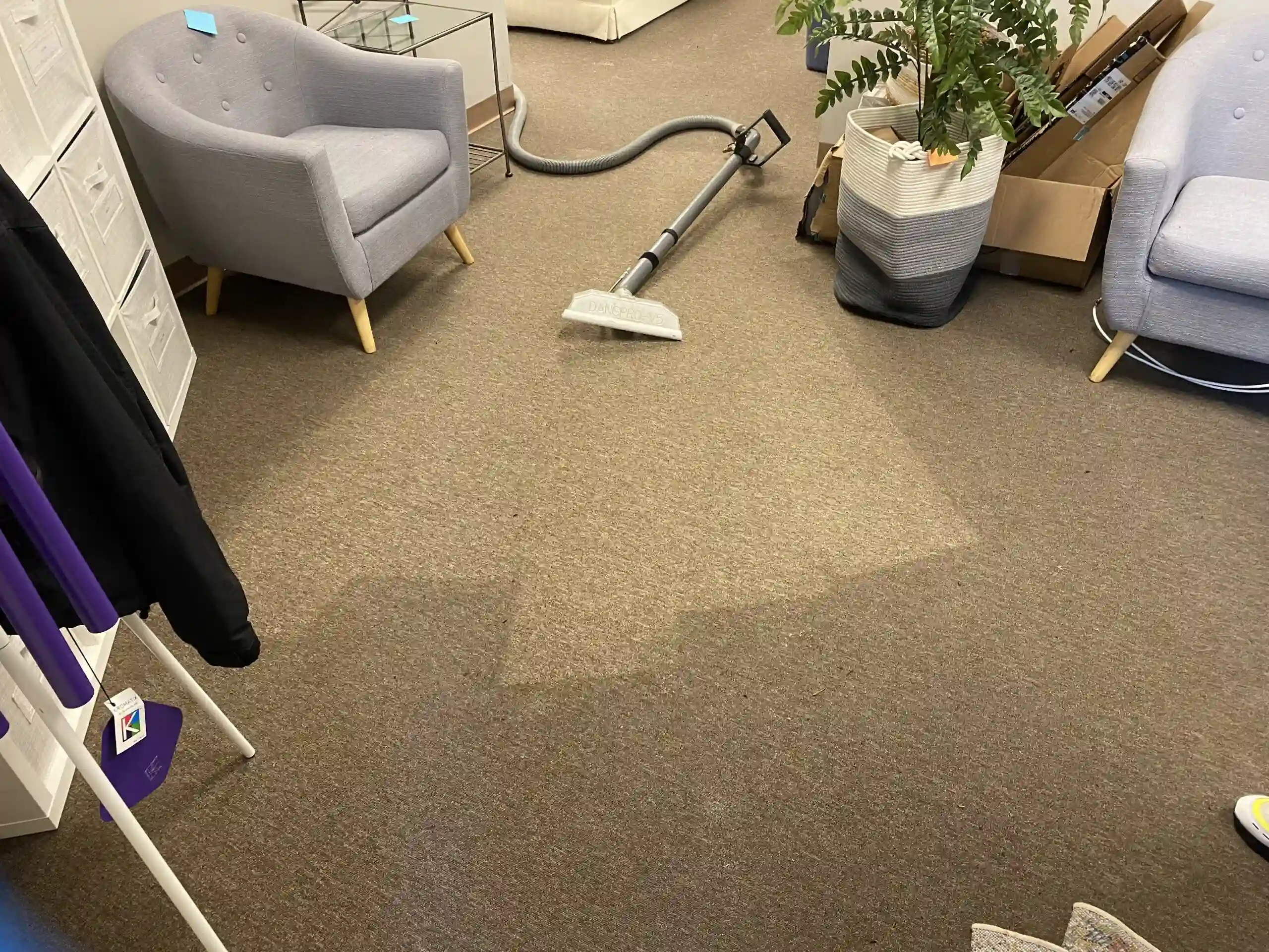 Gallery image 9 — residential carpet cleaning near me