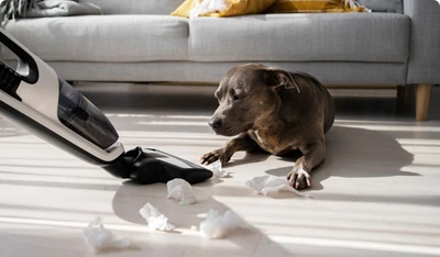 Gallery image 2 — residential carpet cleaning near me