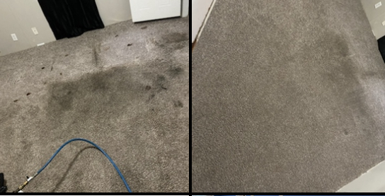 Gallery image 11 — residential carpet cleaning near me