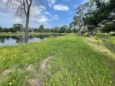 Gallery image 3 — homeless camp cleanup Dallas