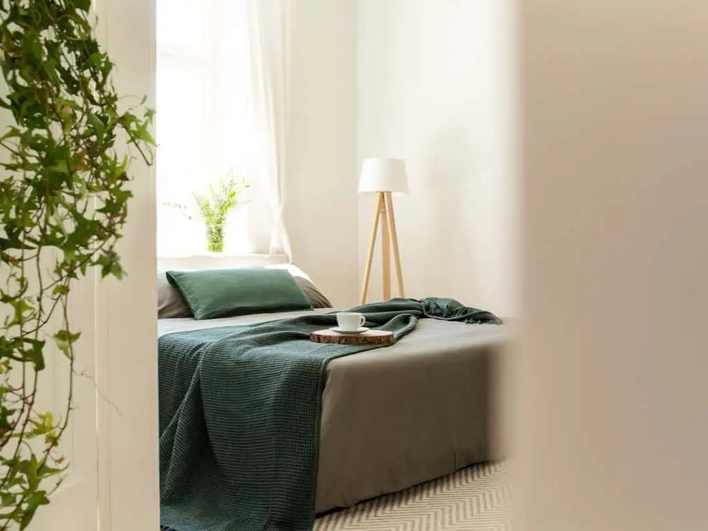 Gallery image 3 — top rated cleaners in Greater Austin Area