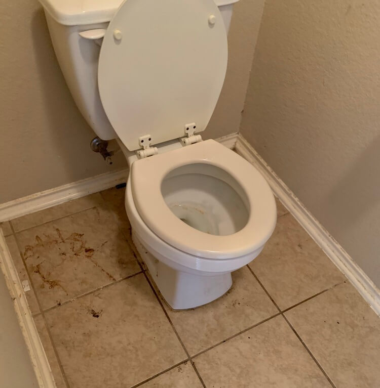 Gallery image 2 — professional house cleaners Austin