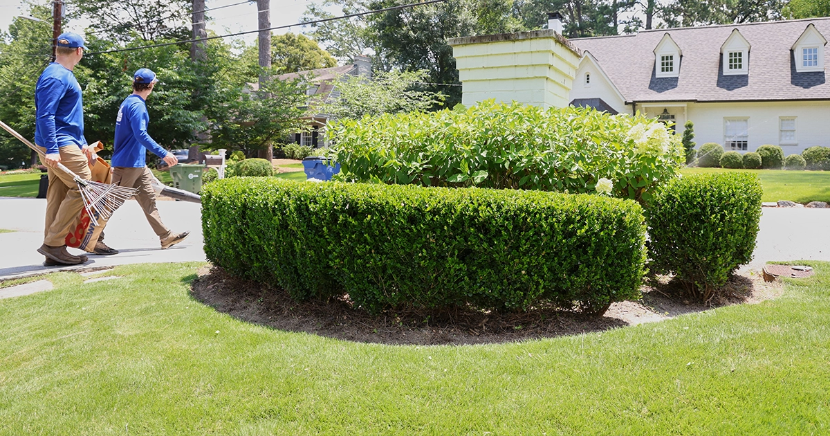 sustainable lawn care Atlanta
