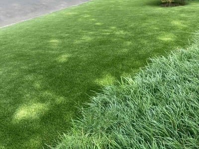 Gallery image 4 — lawn aeration Lawn Love Lawn Care of Atlanta