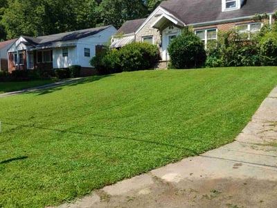 Gallery image 3 — lawn aeration Lawn Love Lawn Care of Atlanta