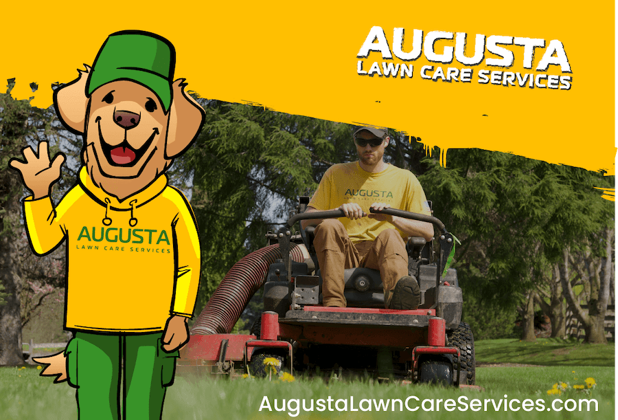 Gallery image 1 — residential lawn maintenance Georgia