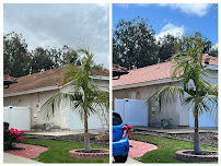 About Pressure Washing Pros
