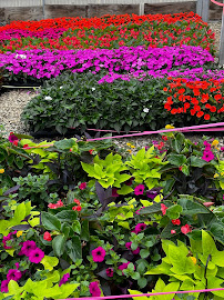 About professional lawn management Norcross