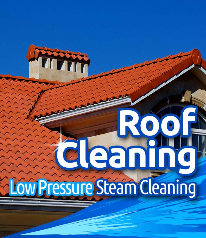 Gallery image 5 — Washed Out Pressure Washing