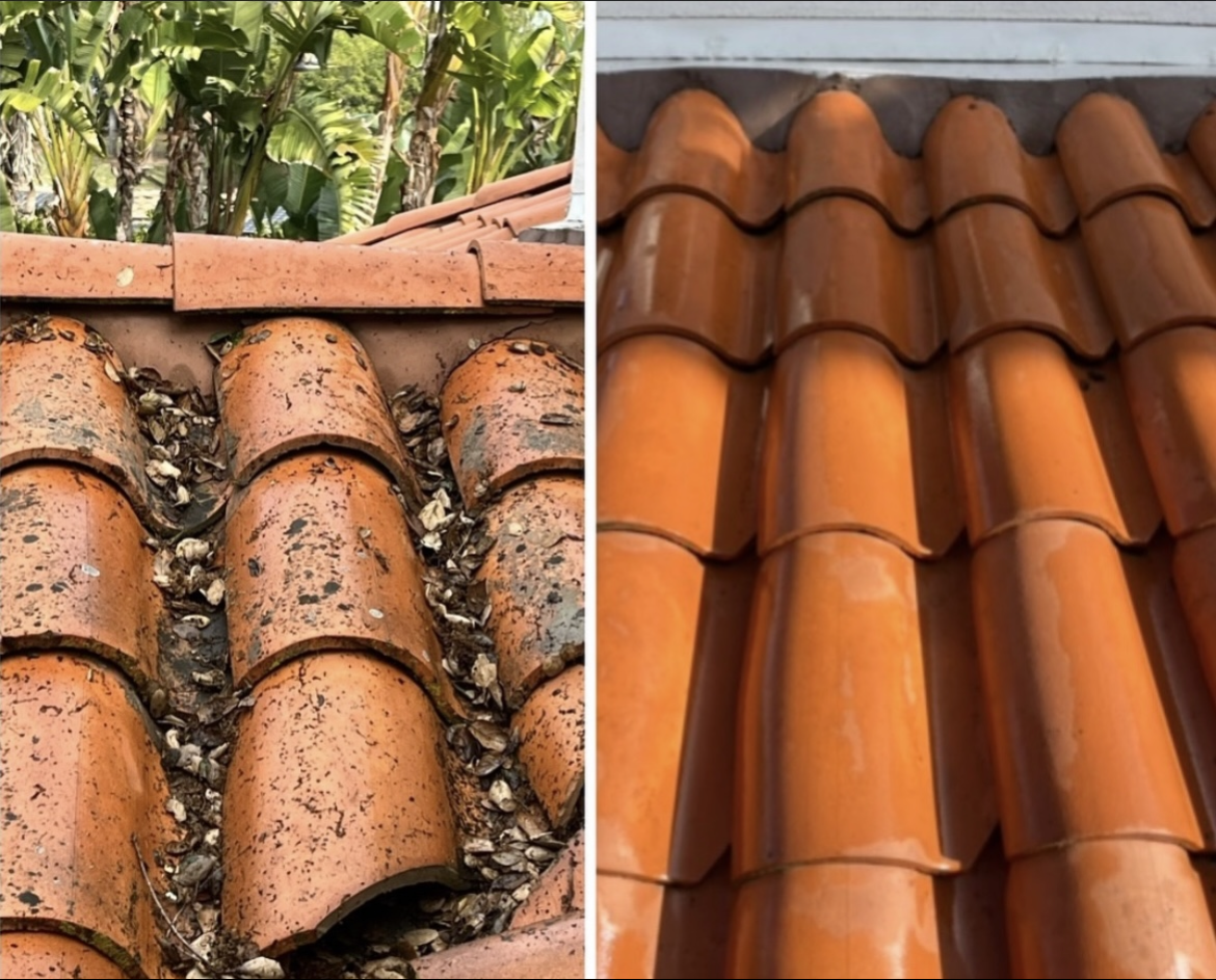 About roof cleaning United States