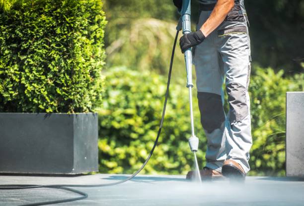 Gallery image 1 — roof cleaning United States