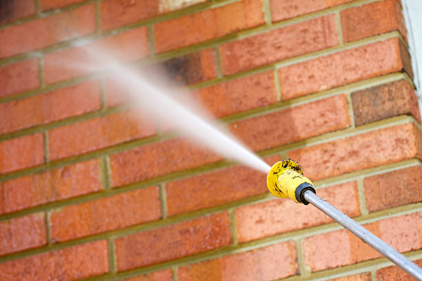 Gallery image 4 — roof cleaning United States