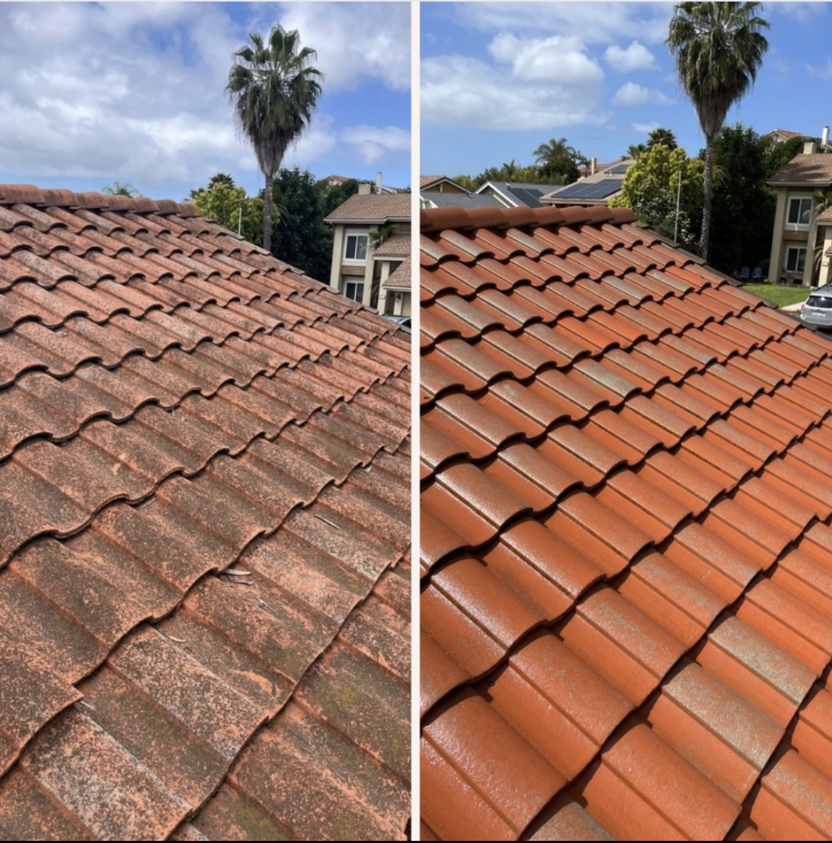 Gallery image 10 — roof cleaning United States