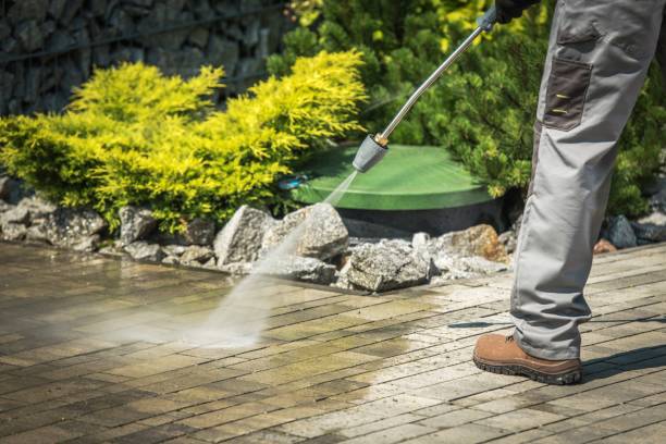 roof cleaning United States