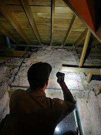 Gallery image 4 — home pest inspection Dallas
