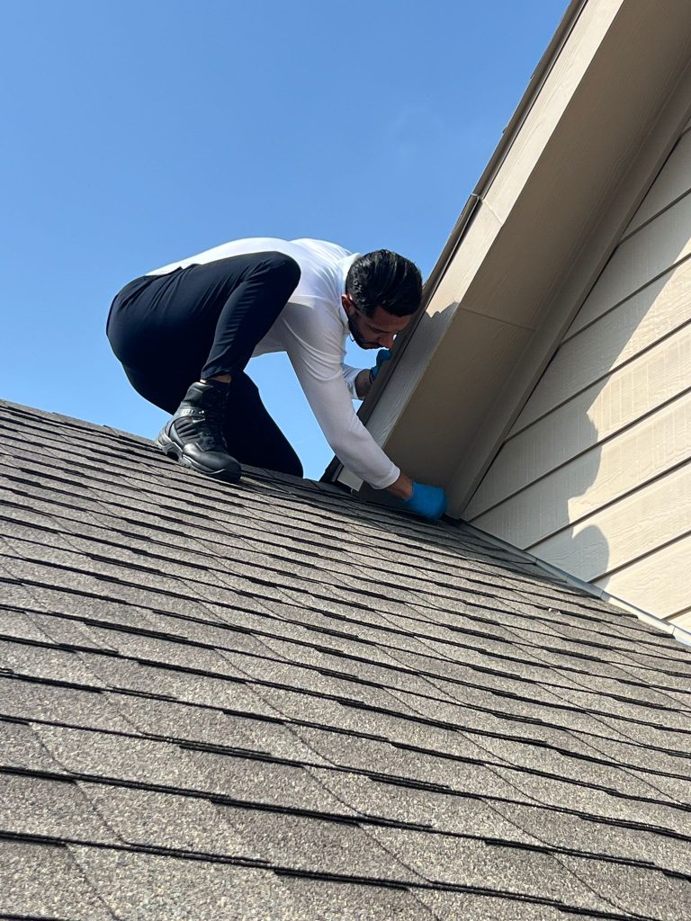 Gallery image 9 — home pest inspection Dallas
