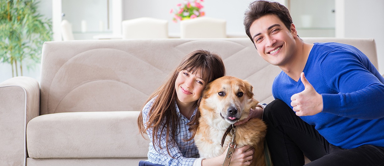 Gallery image 6 — pet friendly pest control Dallas