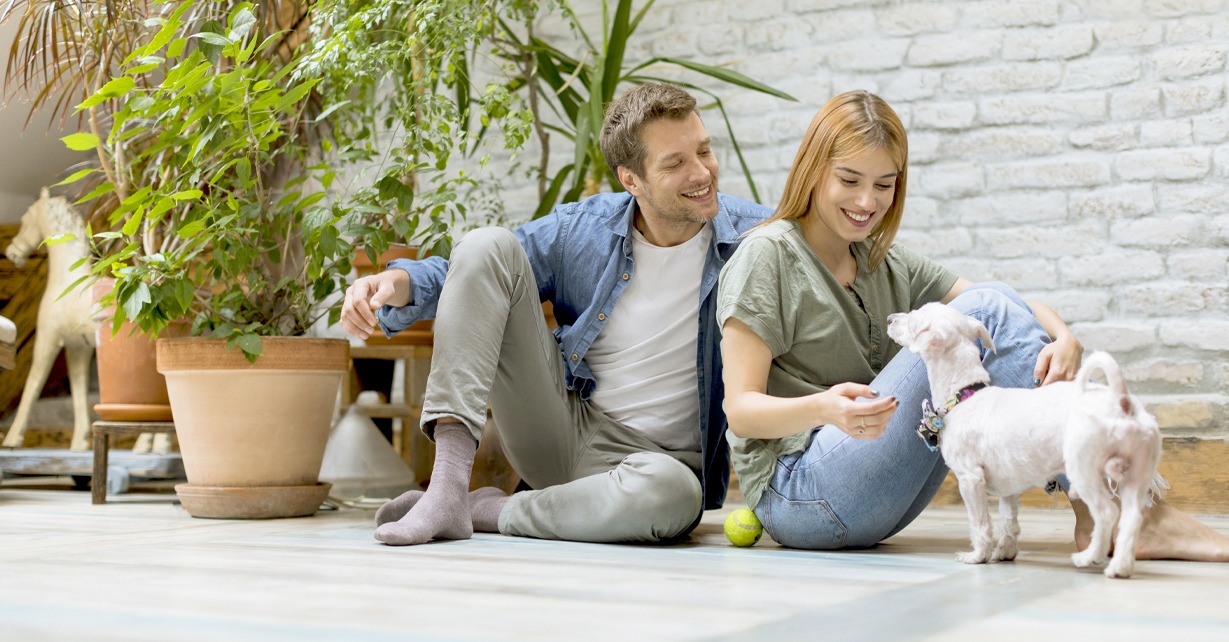 pet friendly pest control Dallas
