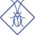 Gallery image 1 — pet friendly pest control Dallas