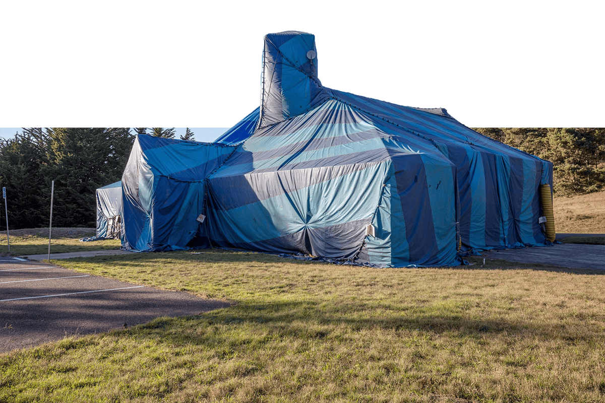 Gallery image 3 — ant exterminator Central FL