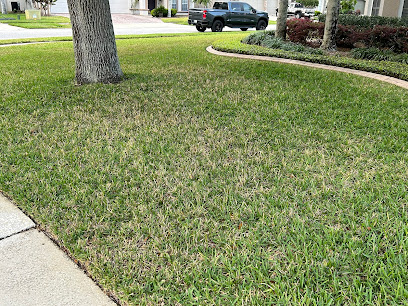 Gallery image 6 — ant exterminator Central FL