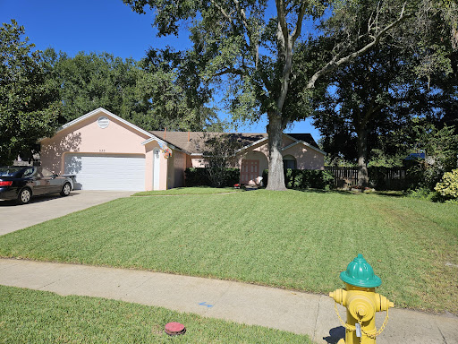 About ant exterminator Central FL