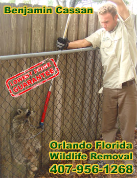 About licensed wildlife trapper Lake Mary