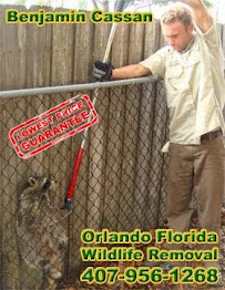 Gallery image 3 — licensed wildlife trapper Lake Mary