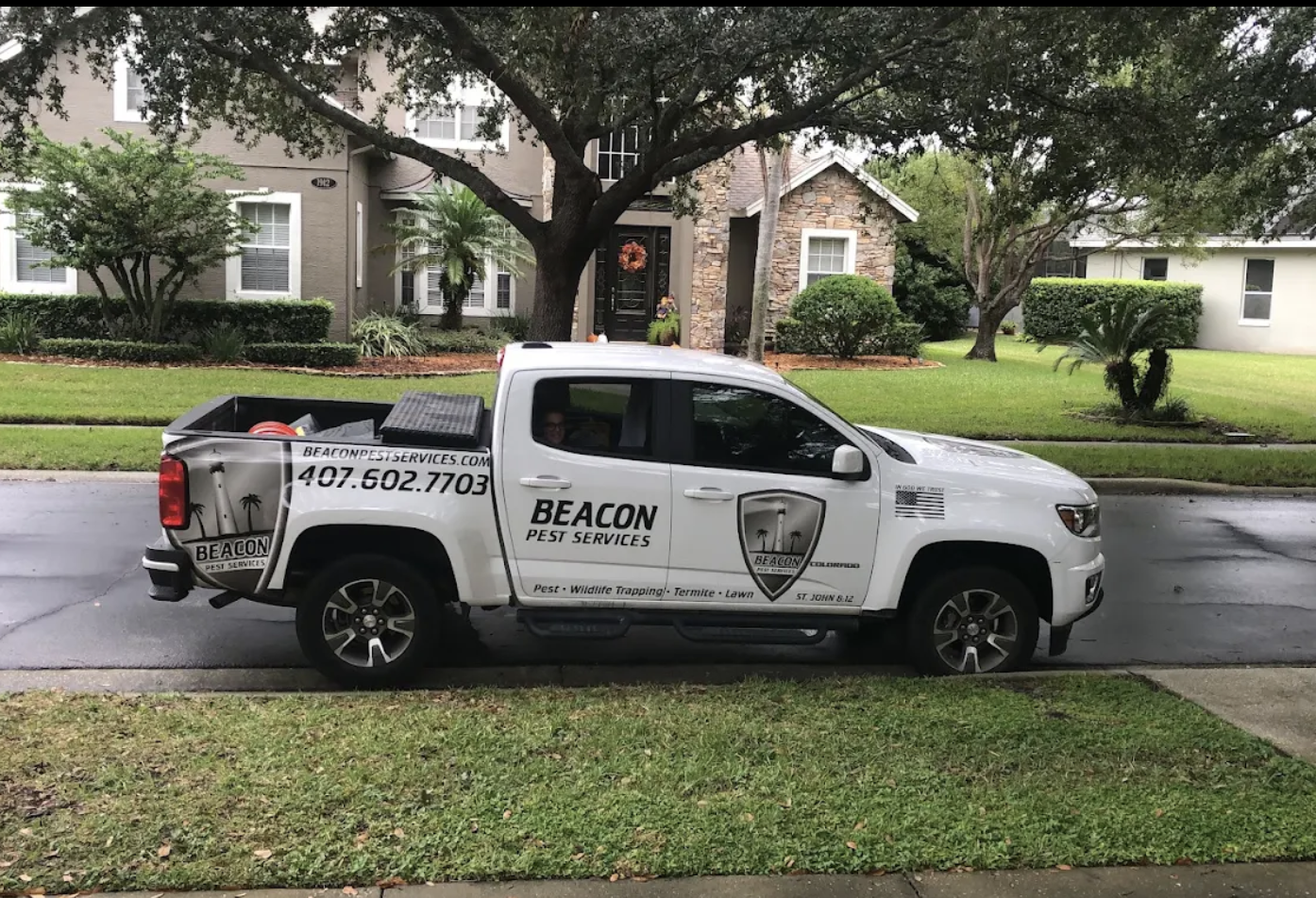 About spider removal services near me