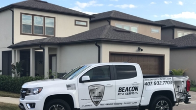 Gallery image 5 — spider removal services near me