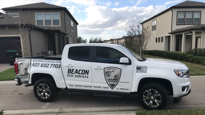 Gallery image 4 — spider removal services near me