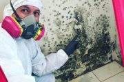 Gallery image 6 — mold assessment South Florida