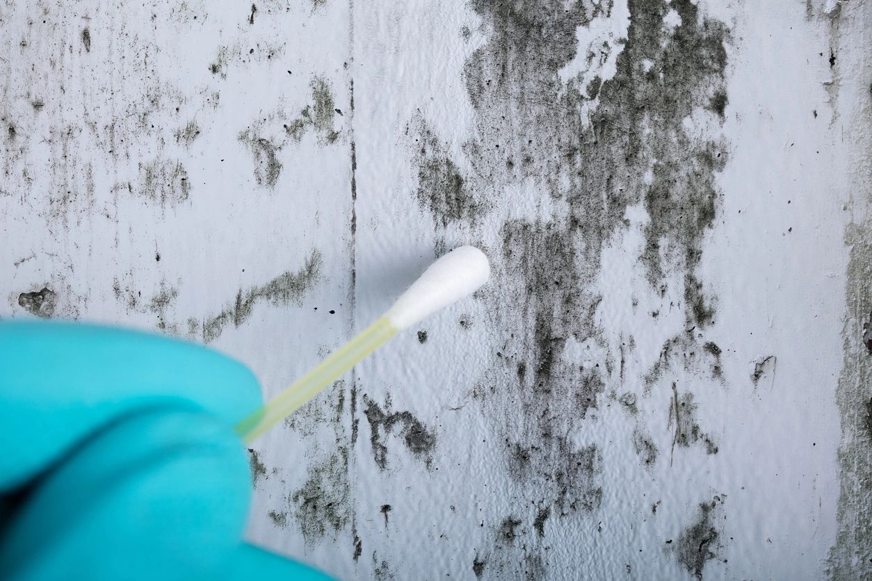 professional asbestos removal near me