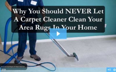 Gallery image 7 — pet urine odor removal Green Valley