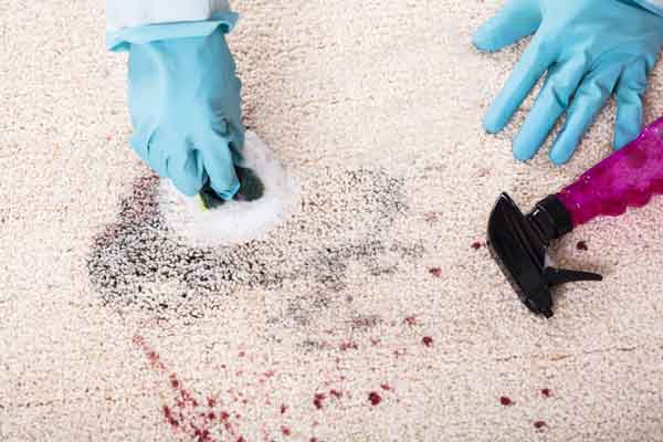 deep carpet cleaning Austin