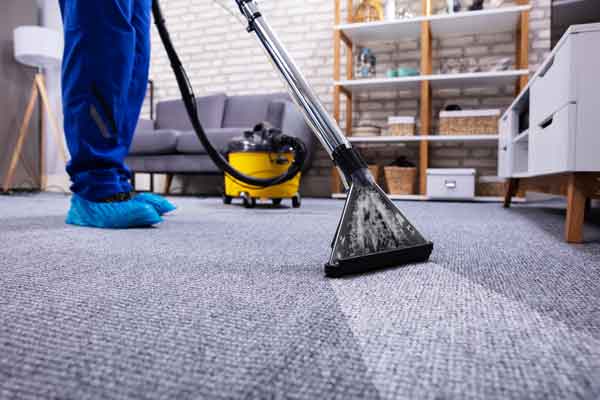 Gallery image 6 — deep carpet cleaning Austin