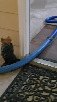 About commercial carpet cleaning Austin
