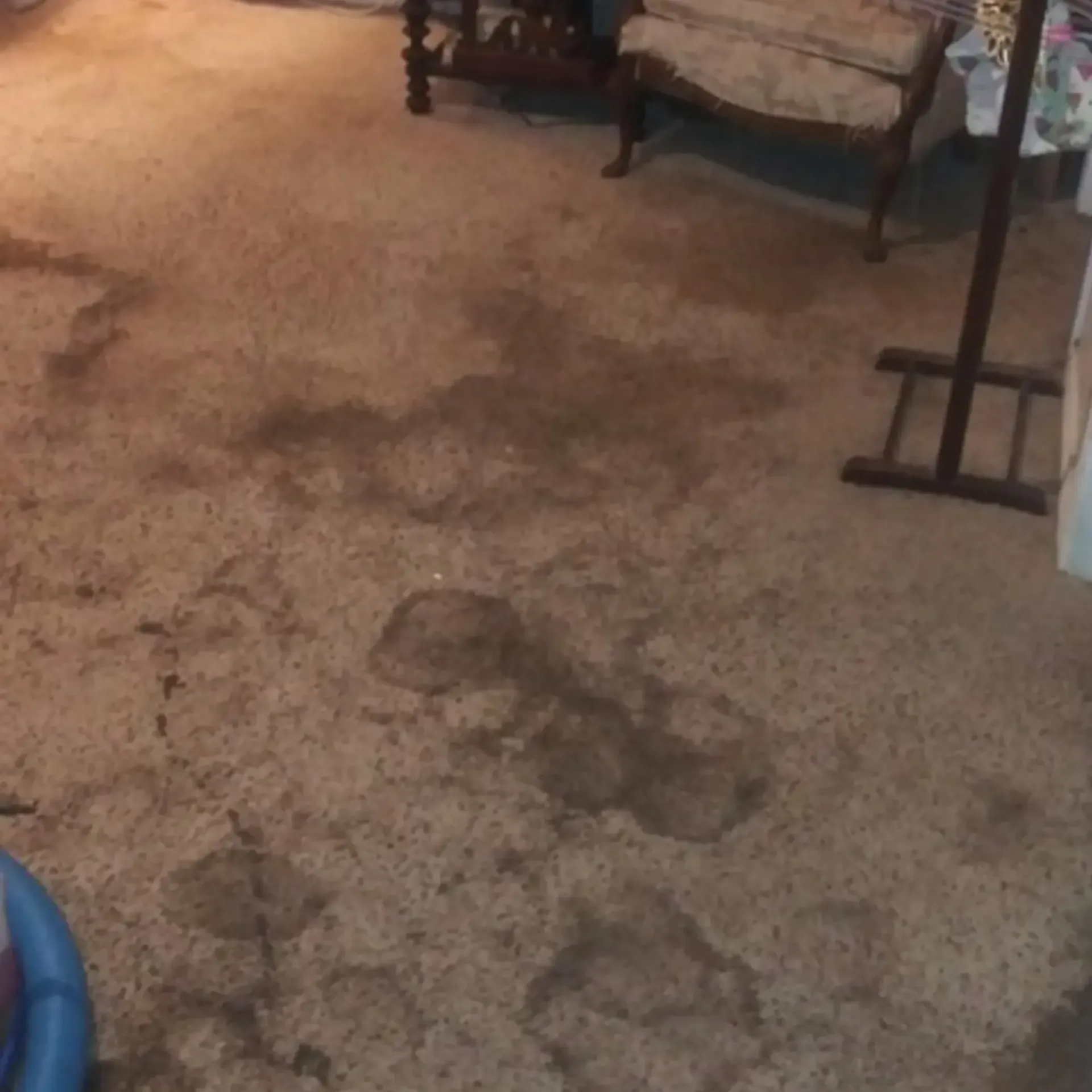 Gallery image 4 — vinyl cleaning Elgin
