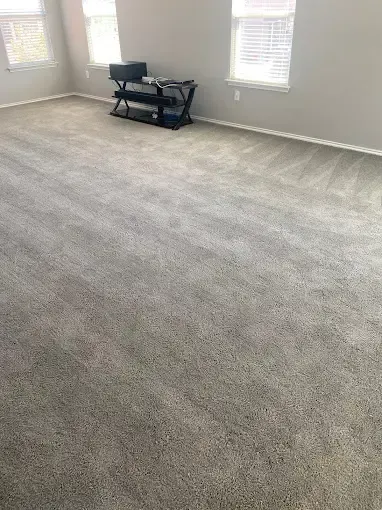 Gallery image 3 — vinyl cleaning Elgin