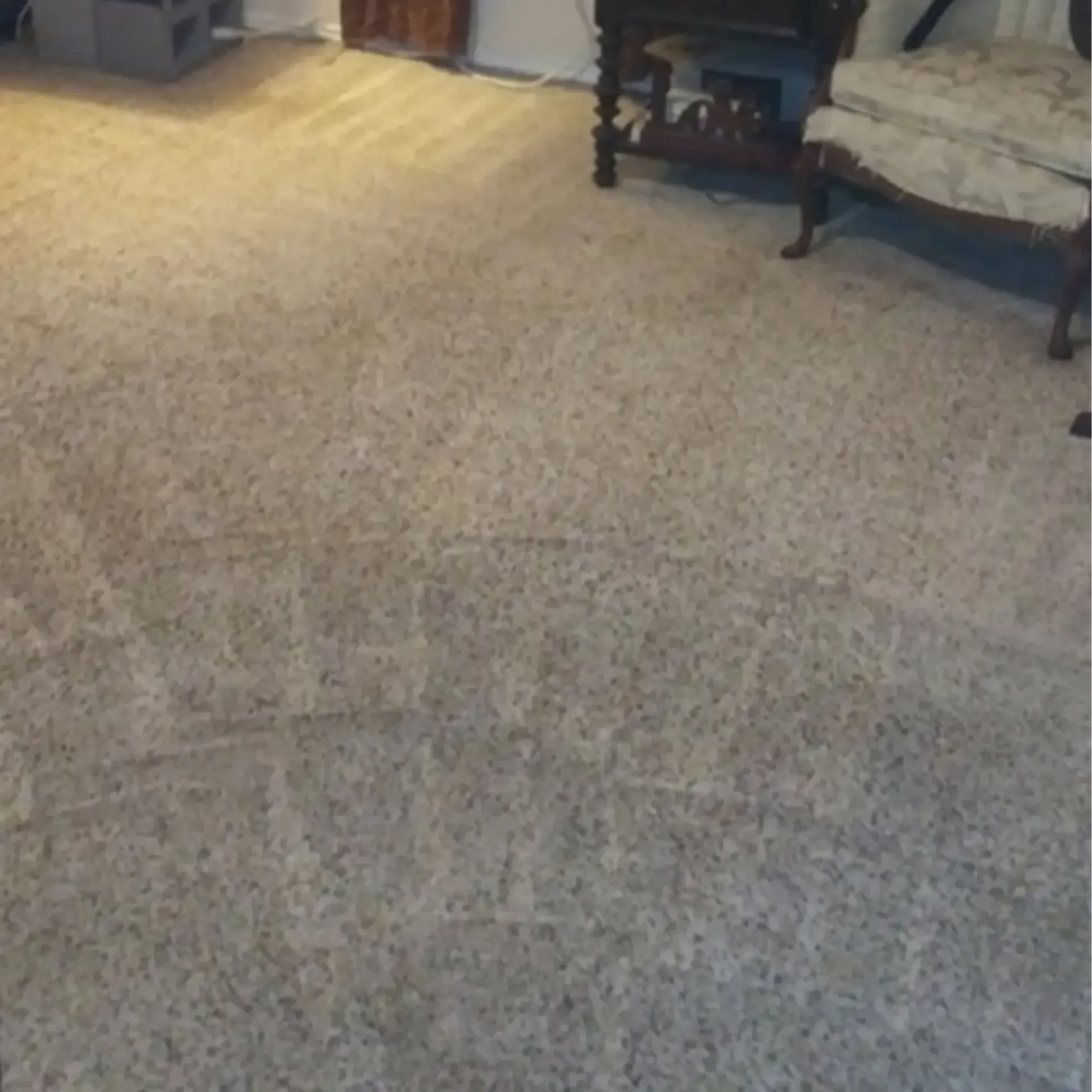 Gallery image 19 — vinyl cleaning Elgin